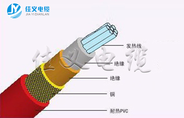 东北91看片软件大全